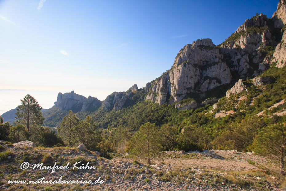 Ebrotal (Spanien)_0078