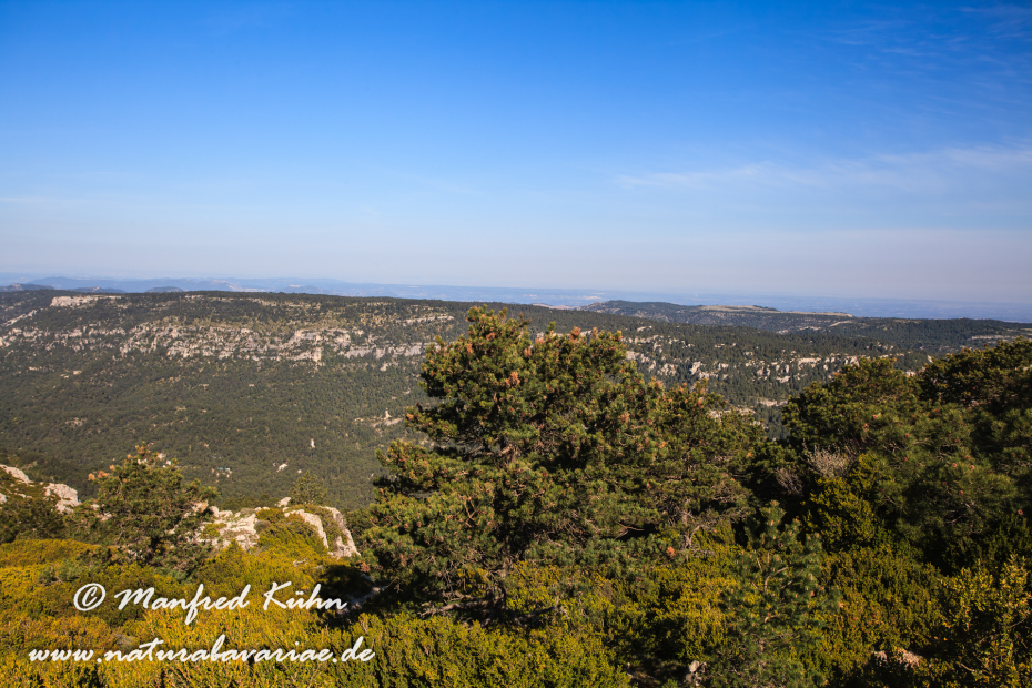 Ebrotal (Spanien)_0085