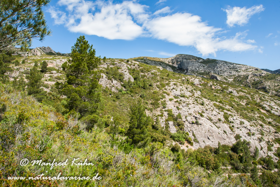 Ebrotal (Spanien)_0104