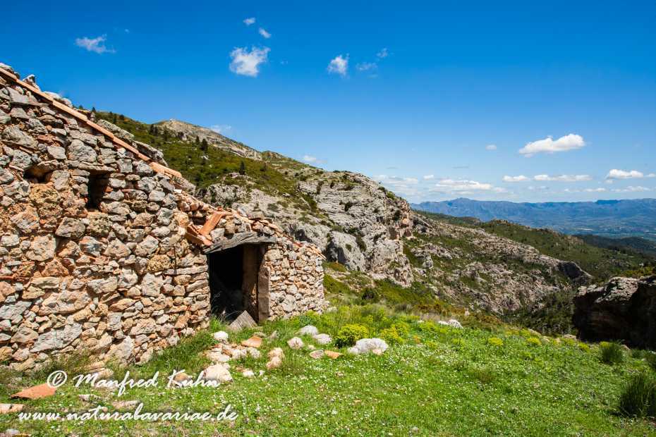 Ebrotal (Spanien)_0108