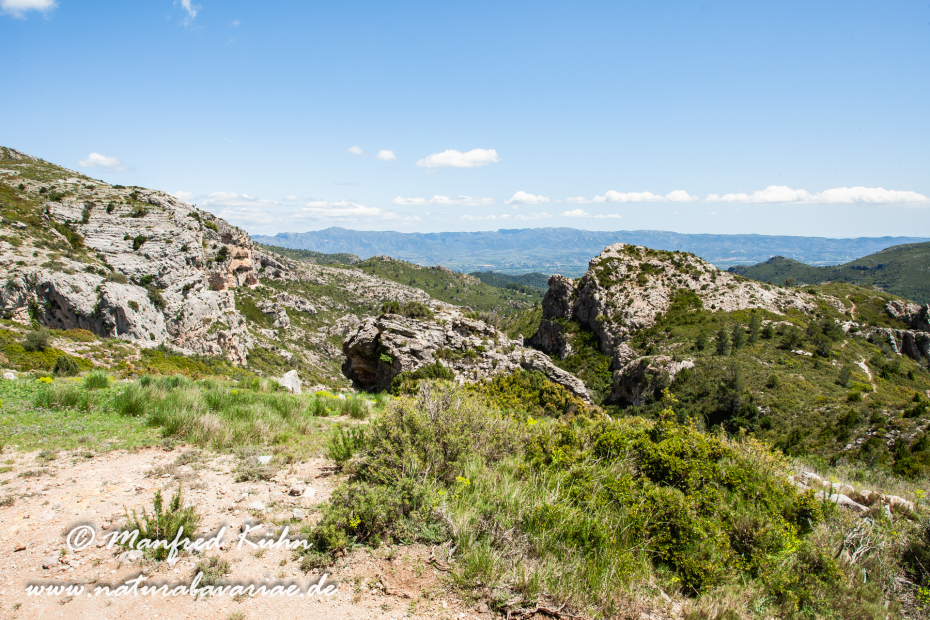 Ebrotal (Spanien)_0109