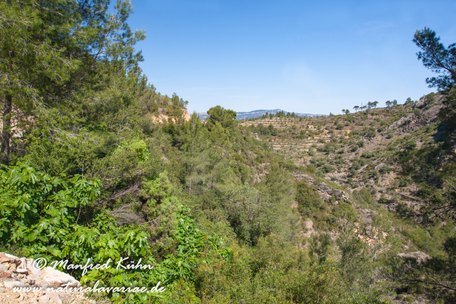 Ebrotal (Spanien)_0110