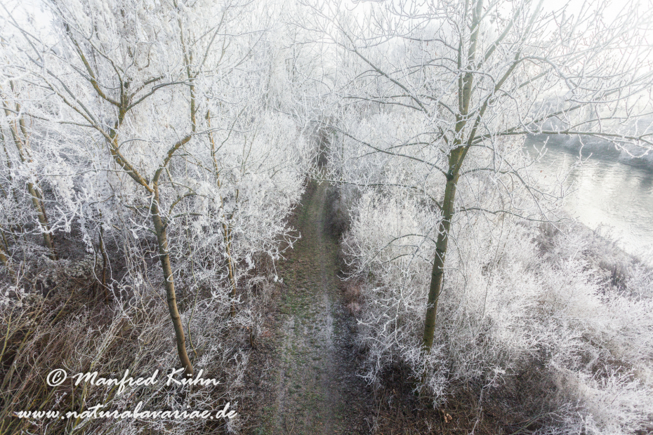 Amper_Winter (BAY_LKR_DAH)_0017