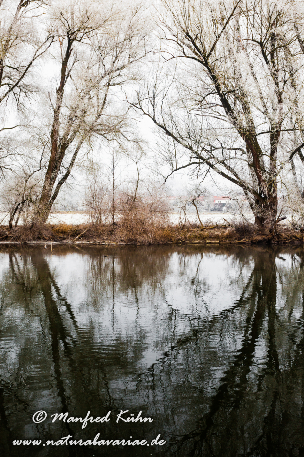 Amper_Winter (BAY_LKR_DAH)_0024