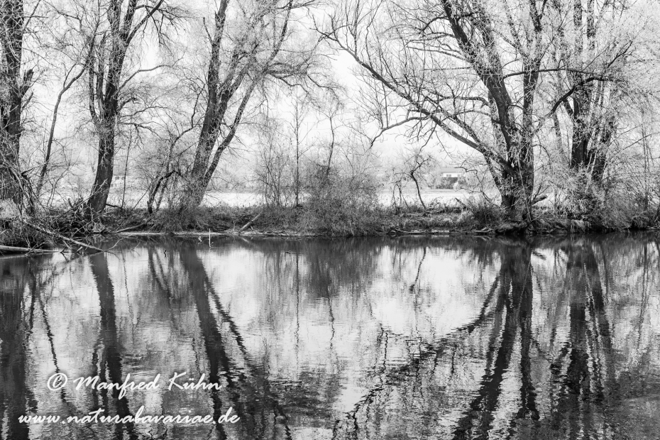 Amper_Winter (BAY_LKR_DAH)_0025