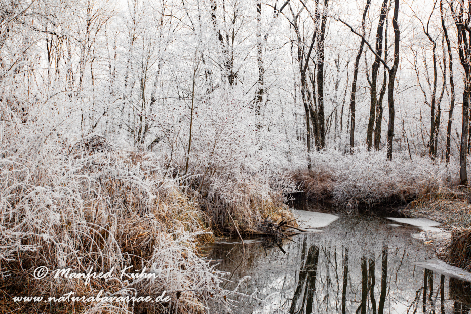 Amper_Winter (BAY_LKR_DAH)_0027