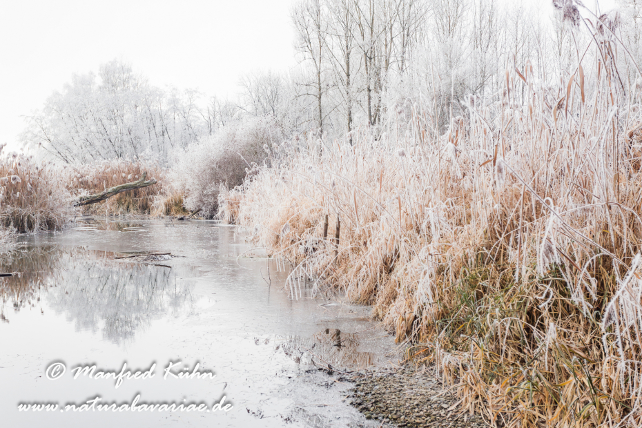 Amper_Winter (BAY_LKR_DAH)_0028