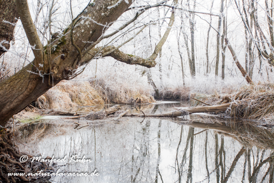 Amper_Winter (BAY_LKR_DAH)_0029