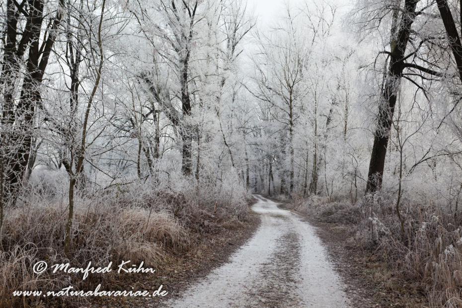 Amper_Winter (BAY_LKR_DAH)_0031