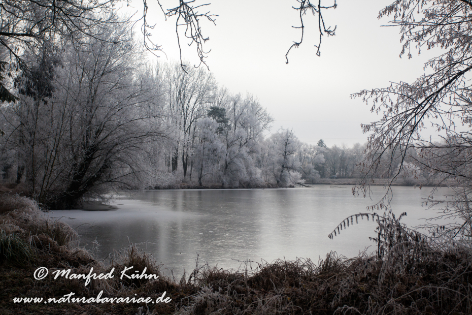 Amper_Winter (BAY_LKR_DAH)_0035