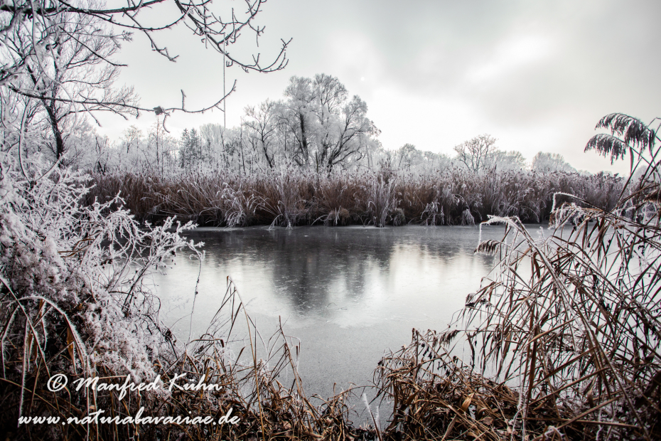 Amper_Winter (BAY_LKR_DAH)_0040