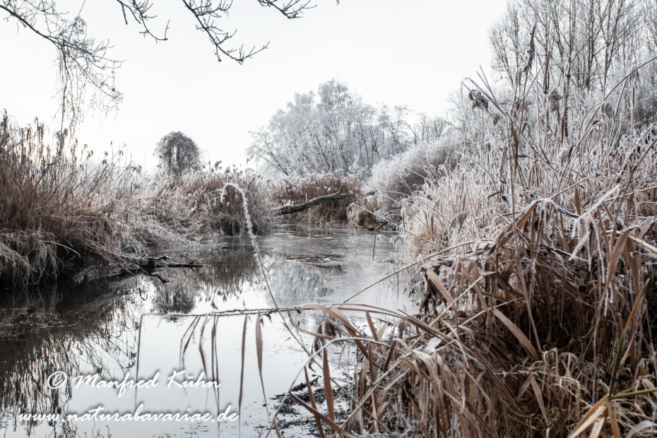 Amper_Winter (BAY_LKR_DAH)_0044