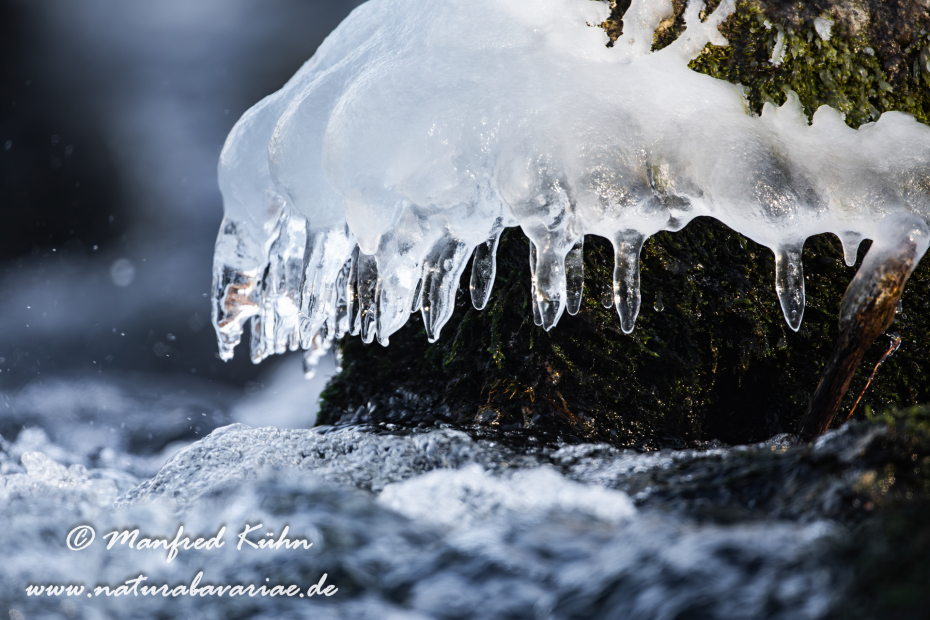 Amper_Winter (BAY_LKR_DAH)_0053