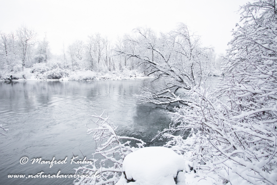 Amper_Winter (BAY_LKR_DAH)_0067