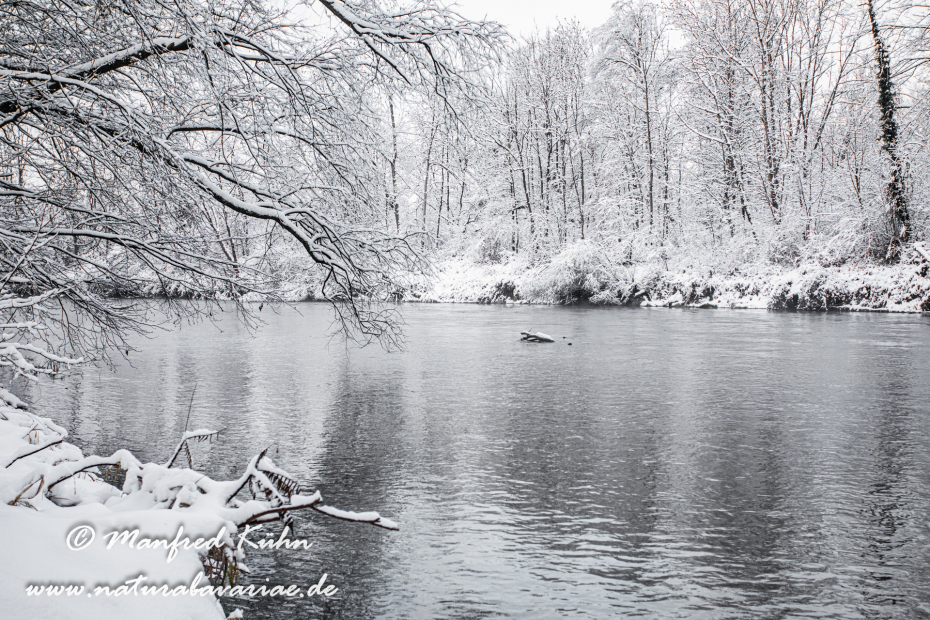 Amper_Winter (BAY_LKR_DAH)_0070