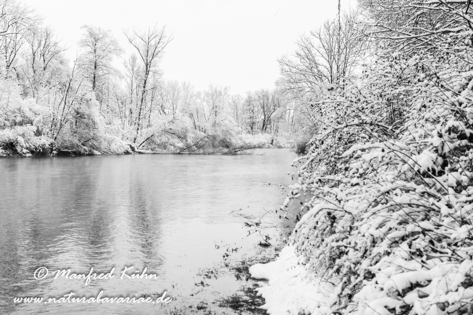 Amper_Winter (BAY_LKR_DAH)_0072