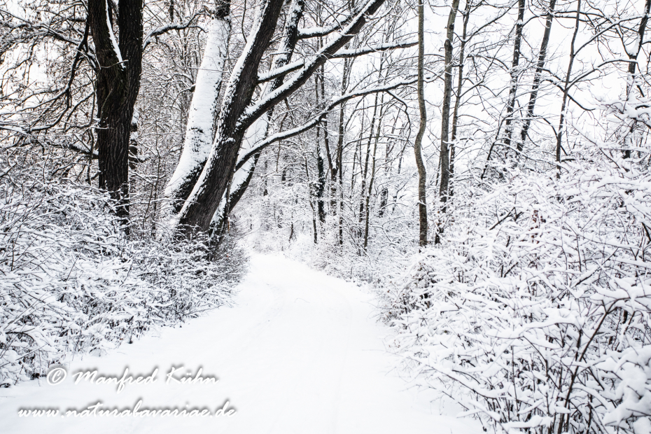 Amper_Winter (BAY_LKR_DAH)_0077