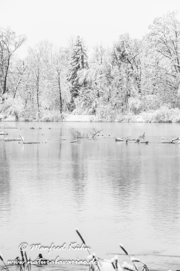 Amper_Winter (BAY_LKR_DAH)_0083
