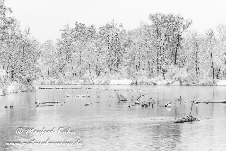 Amper_Winter (BAY_LKR_DAH)_0085