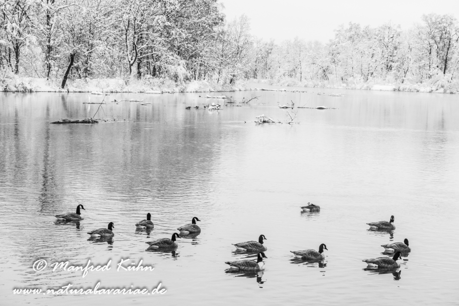 Amper_Winter (BAY_LKR_DAH)_0090