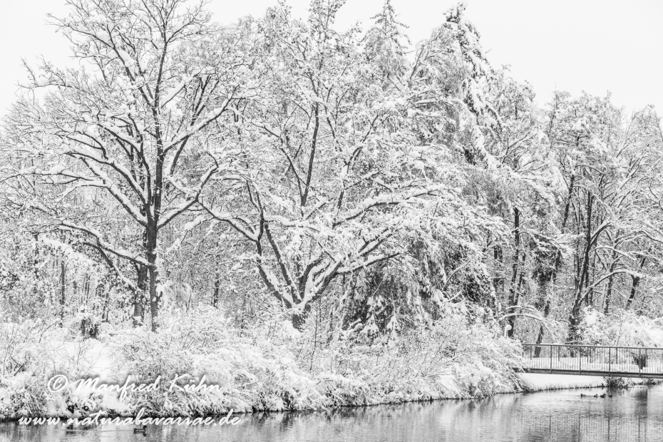 Amper_Winter (BAY_LKR_DAH)_0091