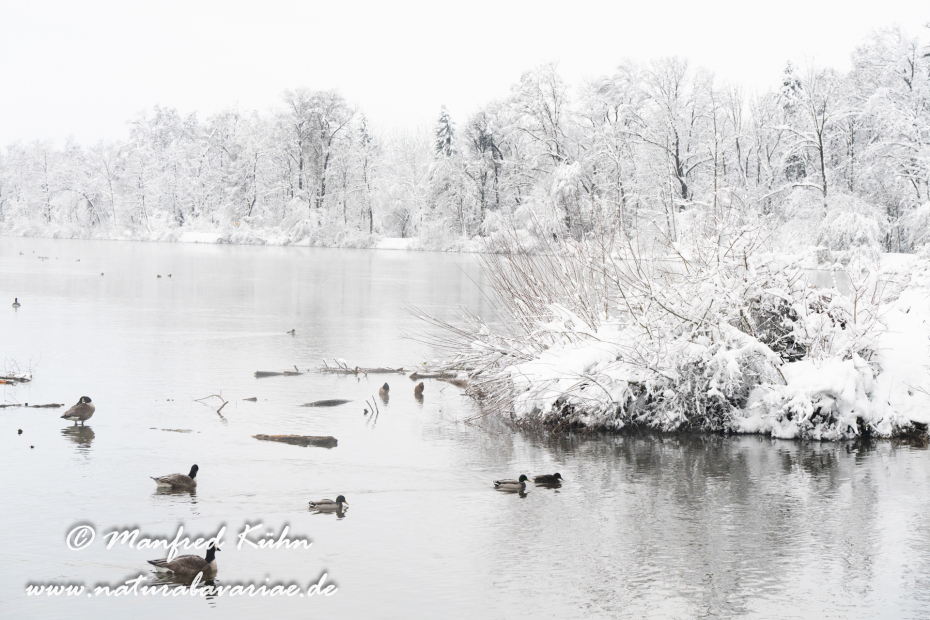 Amper_Winter (BAY_LKR_DAH)_0096