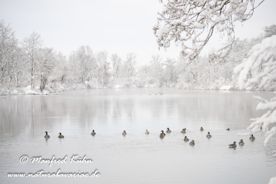 Amper_Winter (BAY_LKR_DAH)_0109