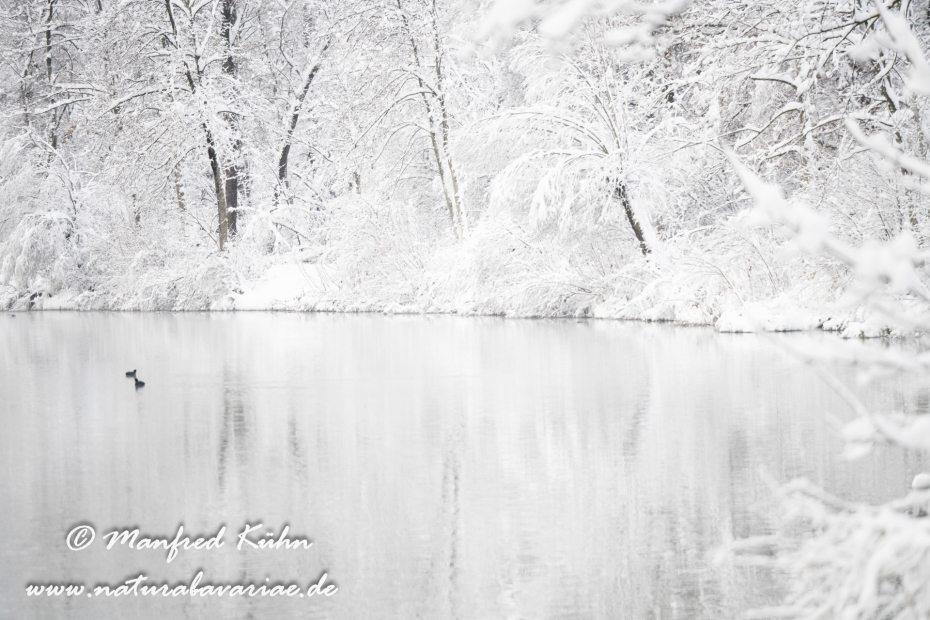 Amper_Winter (BAY_LKR_DAH)_0113