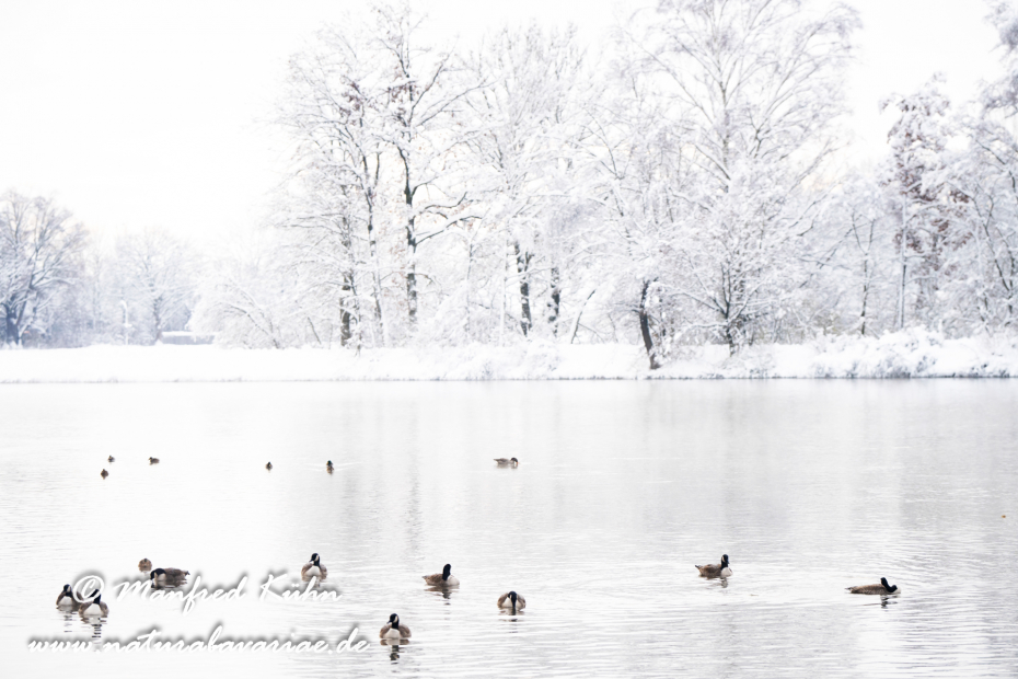 Amper_Winter (BAY_LKR_DAH)_0115
