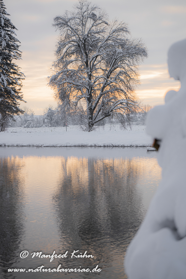 Amper_Winter (BAY_LKR_DAH)_0117