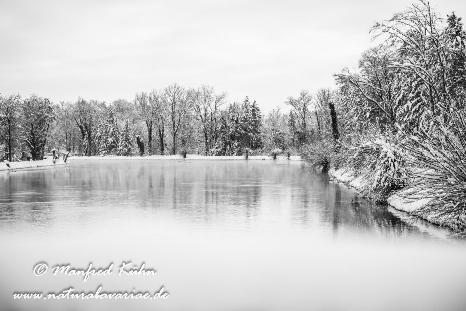 Amper_Winter (BAY_LKR_DAH)_0119