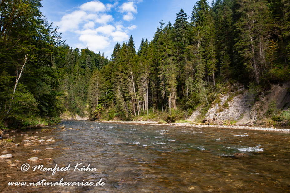 Ammer_Pfaffenwinkel (BAY_LKR_Weilheim-Schongau)_0003