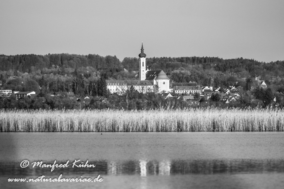 Ammersee-Südufer (BAY_LKR_LL)_0008