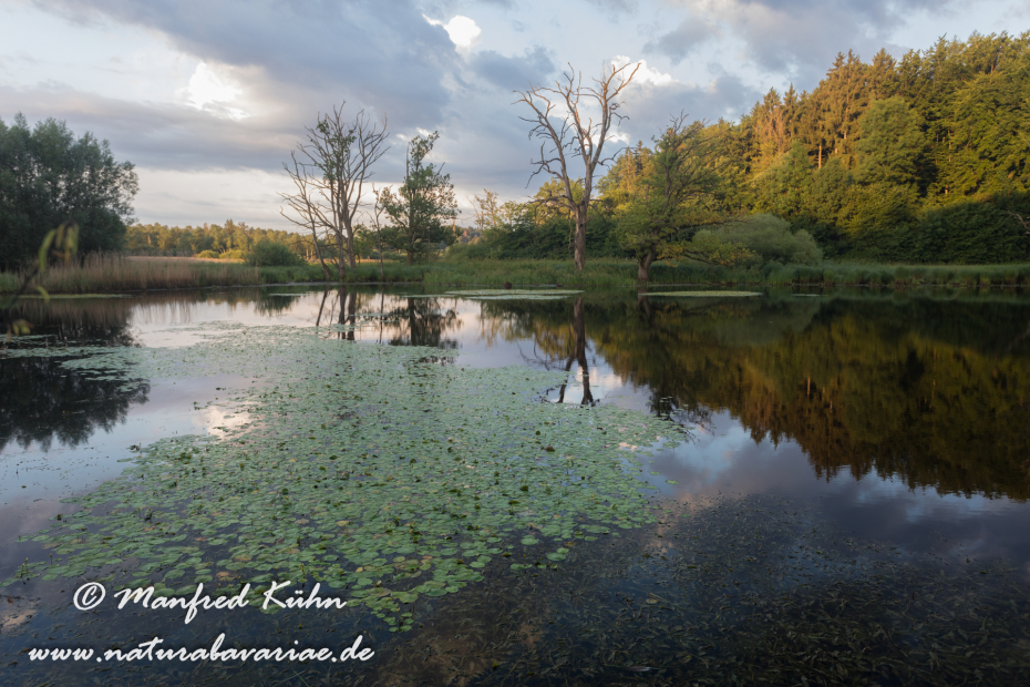 Seachtn_Andechs (BAY_LKR_STA)_0012