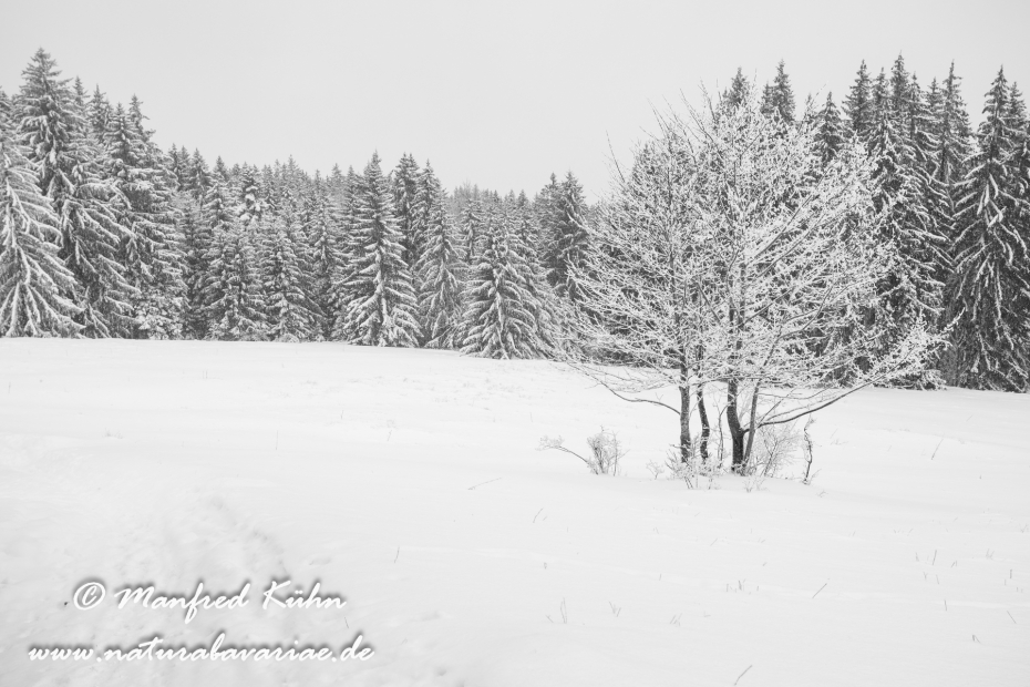 Peißenberg_Hoher (BAY_LKR_Weilheim-Schongau)_0003