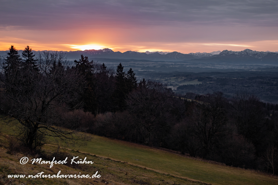 Peißenberg_Hoher (BAY_LKR_Weilheim-Schongau)_0030