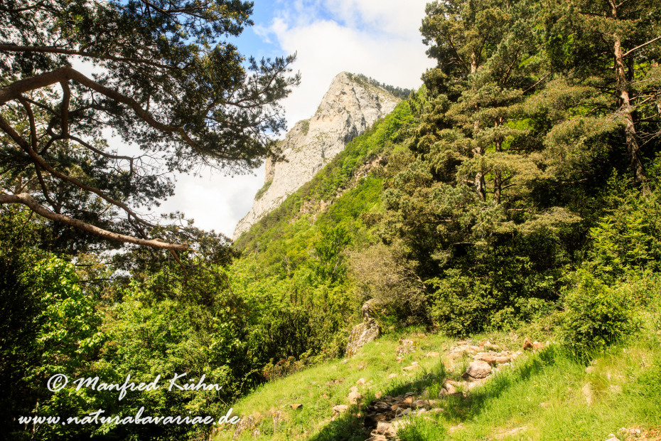 Valles Occidentales (Spanien)_0020