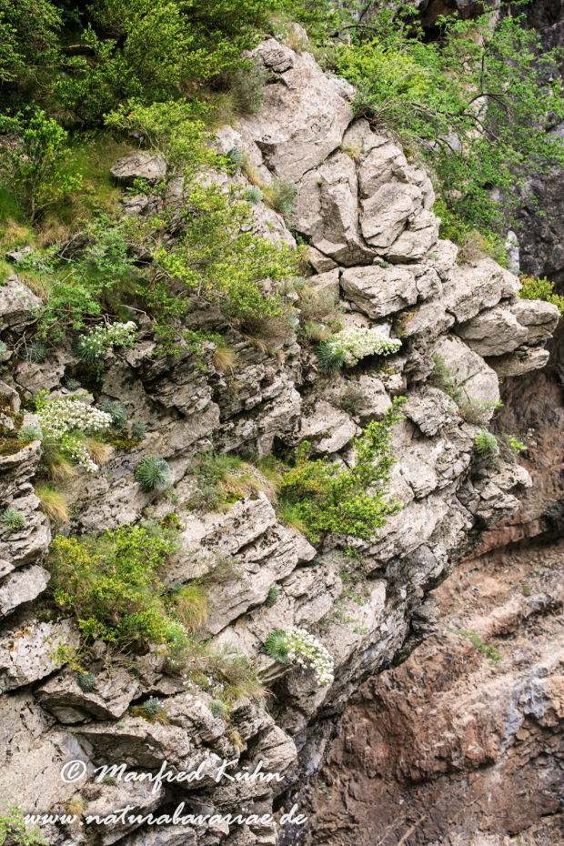 Valles Occidentales (Spanien)_0034