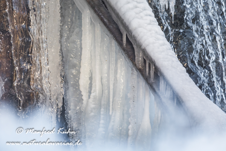 Amper_Winter (BAY_LKR_DAH)_0045