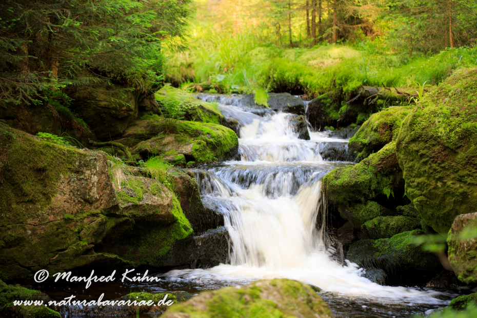 Bachlauf (BAY_LKR_Regen)_0001