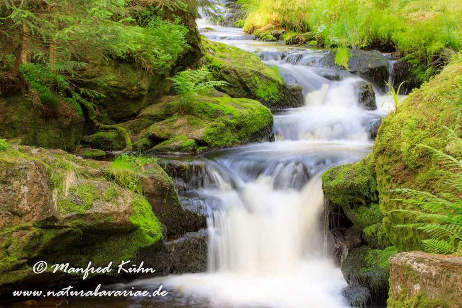 Bachlauf (BAY_LKR_Regen)_0002