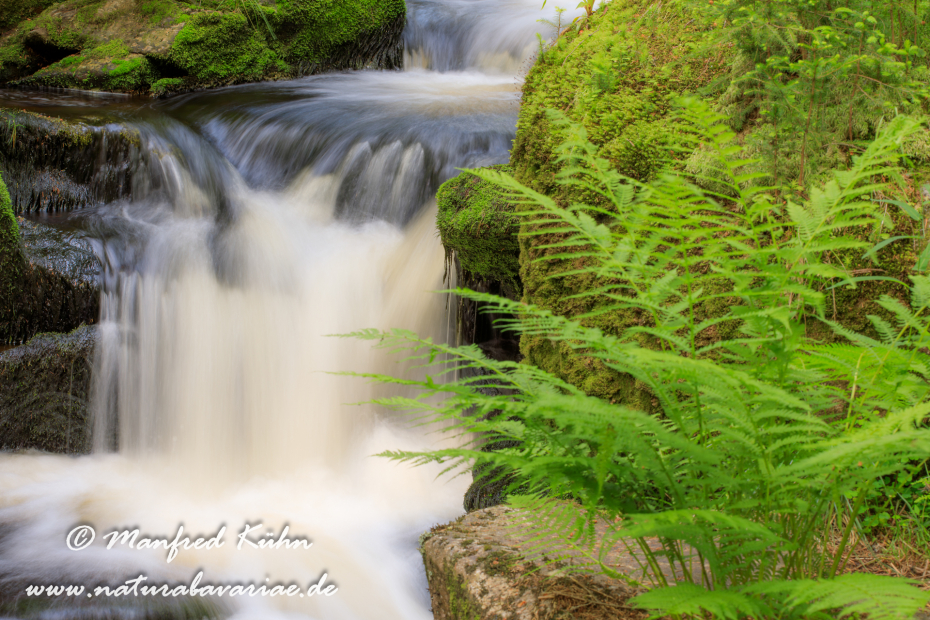 Bachlauf (BAY_LKR_Regen)_0004