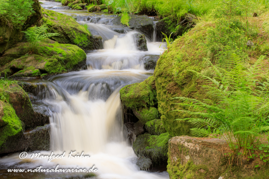Bachlauf (BAY_LKR_Regen)_0006
