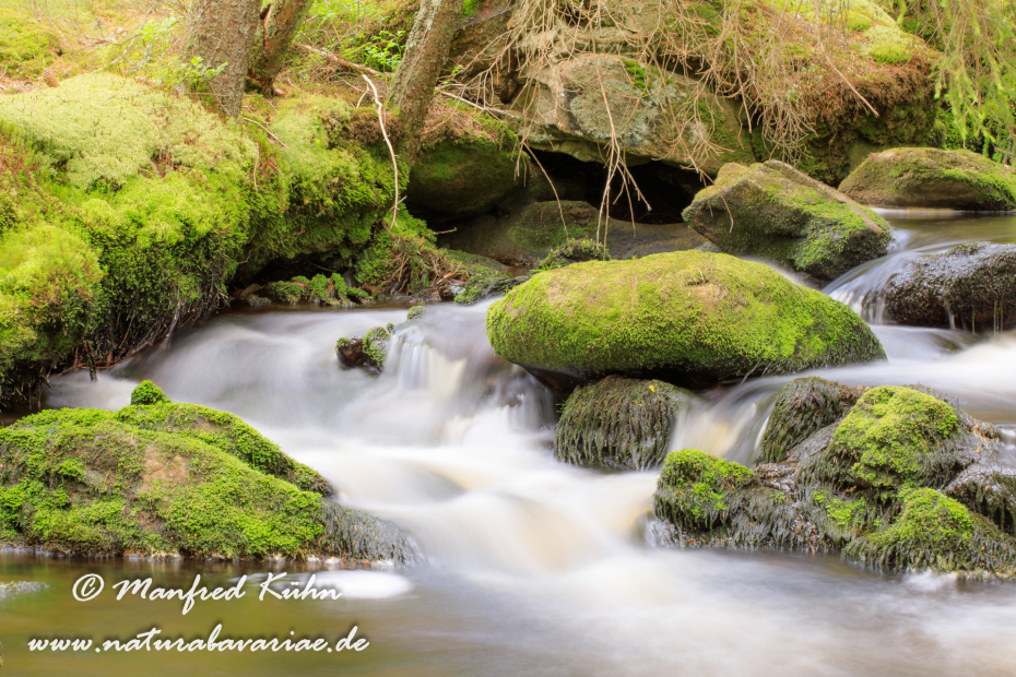Bachlauf (BAY_LKR_Regen)_0010