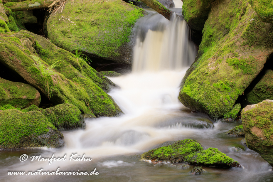 Bachlauf (BAY_LKR_Regen)_0012