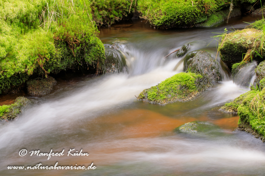 Bachlauf (BAY_LKR_Regen)_0013