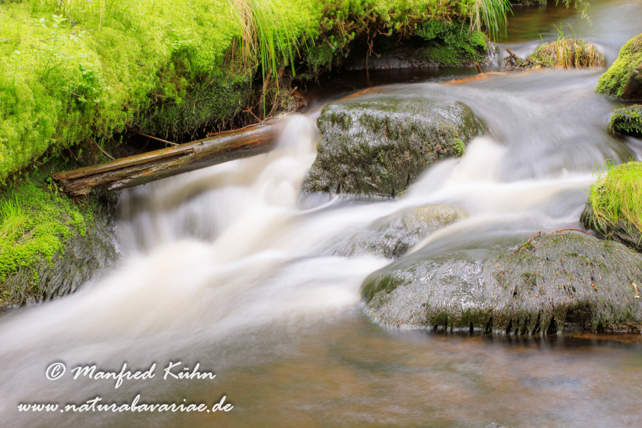 Bachlauf (BAY_LKR_Regen)_0015