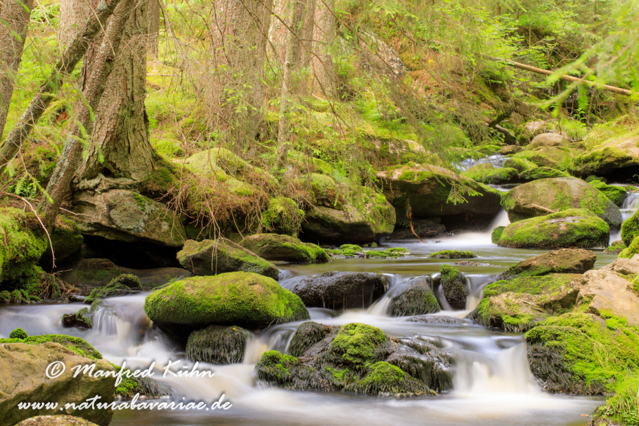 Bachlauf (BAY_LKR_Regen)_0016
