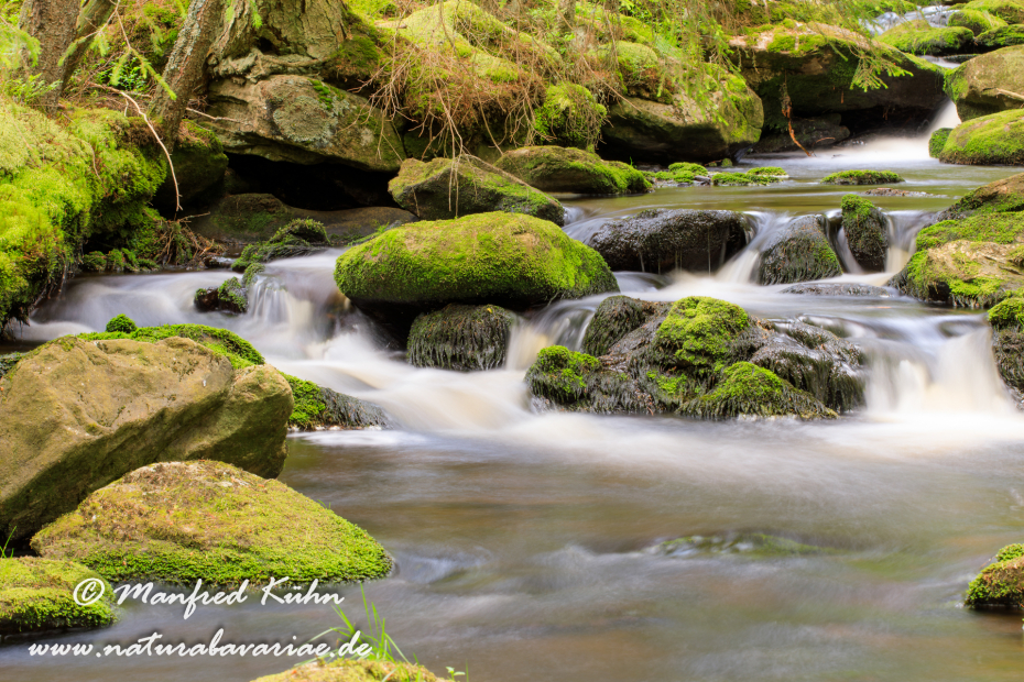 Bachlauf (BAY_LKR_Regen)_0017