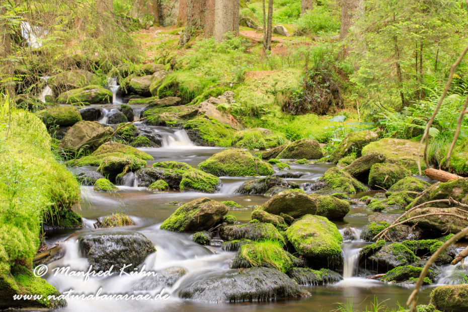 Bachlauf (BAY_LKR_Regen)_0018